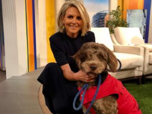 Georgie Gardner Instagram - Happy 6th Birthday to our beloved Wilbur who never fails to make us feel happy (except when he devours the cheese platter) #portuguesewaterdog