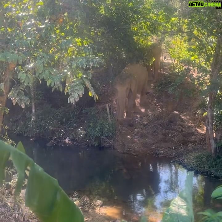 Georgie Henley Instagram - mainly a study in all creatures great and small (and unfortunately no evidence of food consumed though every bite was wondrous)
