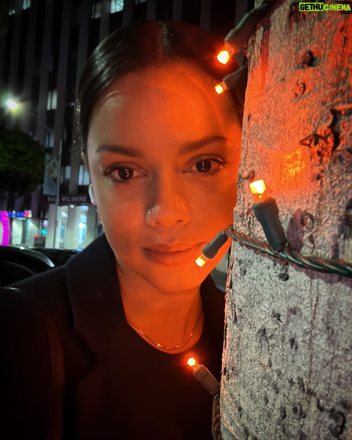 Georgina Campbell - 3.8K Likes - A love affair with Christmas lights on tree trunks… My Uber is ten minutes away.