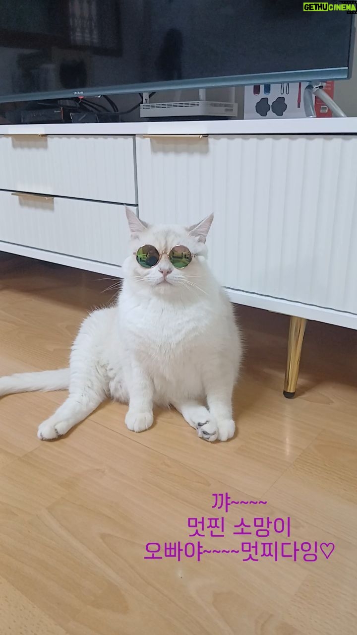 Gi So-you Instagram - 우리집 대빵 소망이♡ 멋찌다~ 이제 소망 오빠라고 해야지~ㅋ 그와중에 저 뱃살 어쩔꺼~ ㆍ ㆍ ㆍ ㆍ #소망이#서열1위#대장님#한껏멋부림 #멋찌다👍 #저뱃살어쩔껴😂 #그래도멋찜