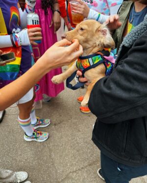 Gibi ASMR Instagram - Atlanta Pride this weekend with some good friends 🥹 it was really really really nice!!!! I even got to give some Gibi viewers some hugs 🥲 and I got James some good stuff as seen in slide 5 hehehe