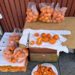 Gideon Adlon Instagram - lots of fruit lots of family