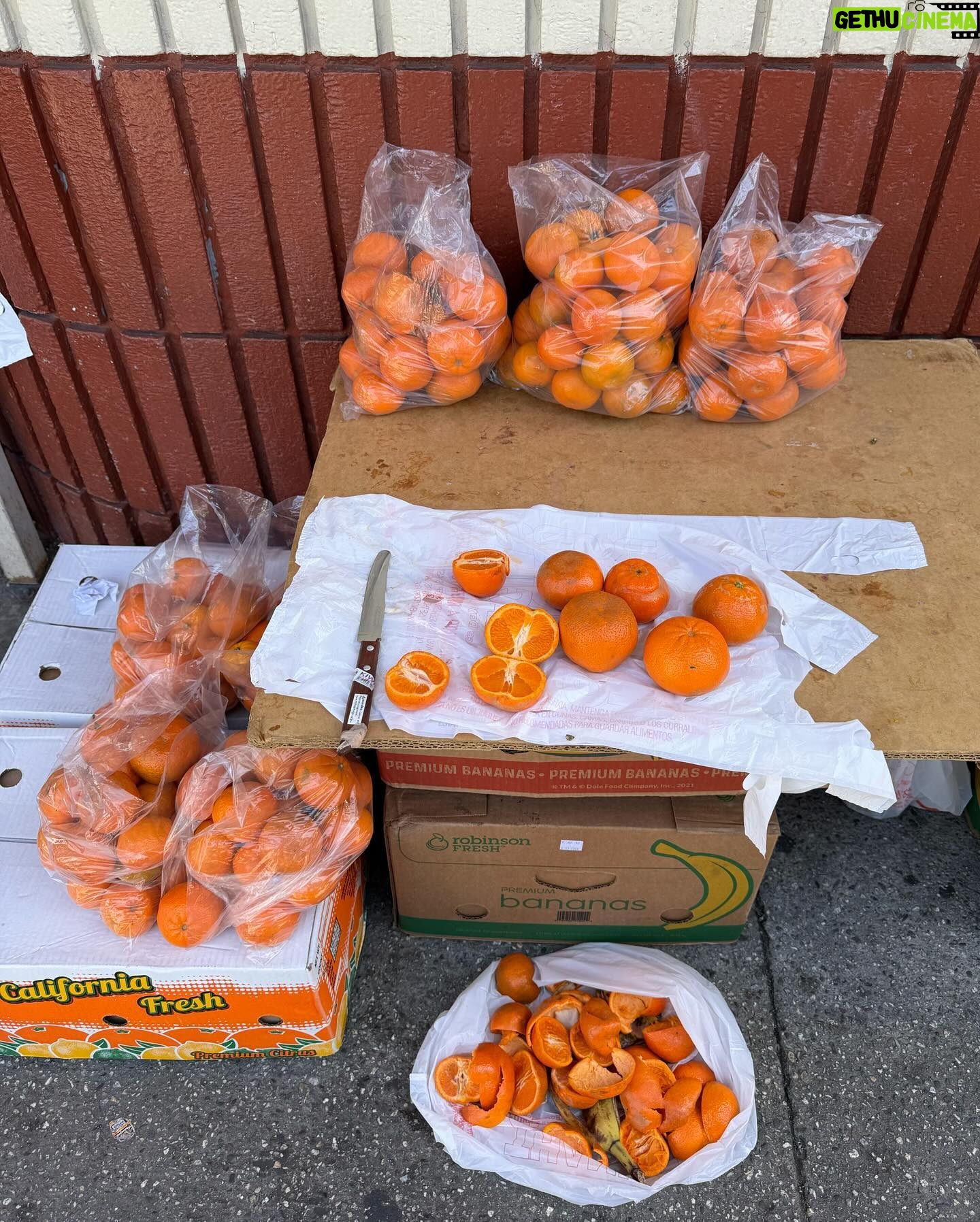 Gideon Adlon Instagram - lots of fruit lots of family
