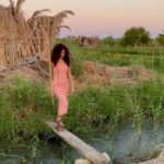 Gihan El Shamashergy Instagram - 🍃 🐄 🍃