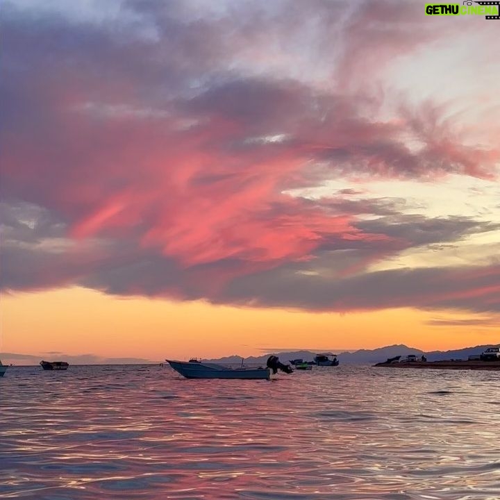 Gihan El Shamashergy Instagram - ✨Yesterday’s sunset was magical✨