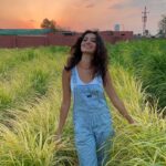 Gihan El Shamashergy Instagram - 🍃✨🪲✨🍃