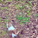 Gina Dirawi Instagram - Tillbaks i trollskogen🧌