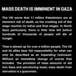 Gina Gershon Instagram - We can all agree that what occurred on October 7 th was horrific beyond. Hamas is the enemy - to watch all of these innocent people die is unbearable. Bring back our hostages. Anti semitism is out if control. Unacceptable. Unbelievable really-Stop All of the Killing- what have we all turned into? - . . #repost @mxviv ・・・ “Famine is projected to occur anytime between now and May 2024 in the northern governorates,” the UN Food and Agriculture Organization (FAO) said, upon publication of a new Integrated Food Security Phase Classification (IPC) report on Gaza. ‘Act now to prevent the unthinkable’ “Palestinians in Gaza are enduring horrifying levels of hunger and suffering”, said UN Secretary General António Guterres outside the Security Council in New York, describing the IPC report as an “appalling indictment of conditions on the ground for civilians”. “This is the highest number of people facing catastrophic hunger ever recorded by the Integrated Food Security Classification system – anywhere, anytime,” he added. “This is an entirely man-made disaster, and the report makes clear that it can be halted,” he warned, saying this showed the need for an immediate humanitarian ceasefire.