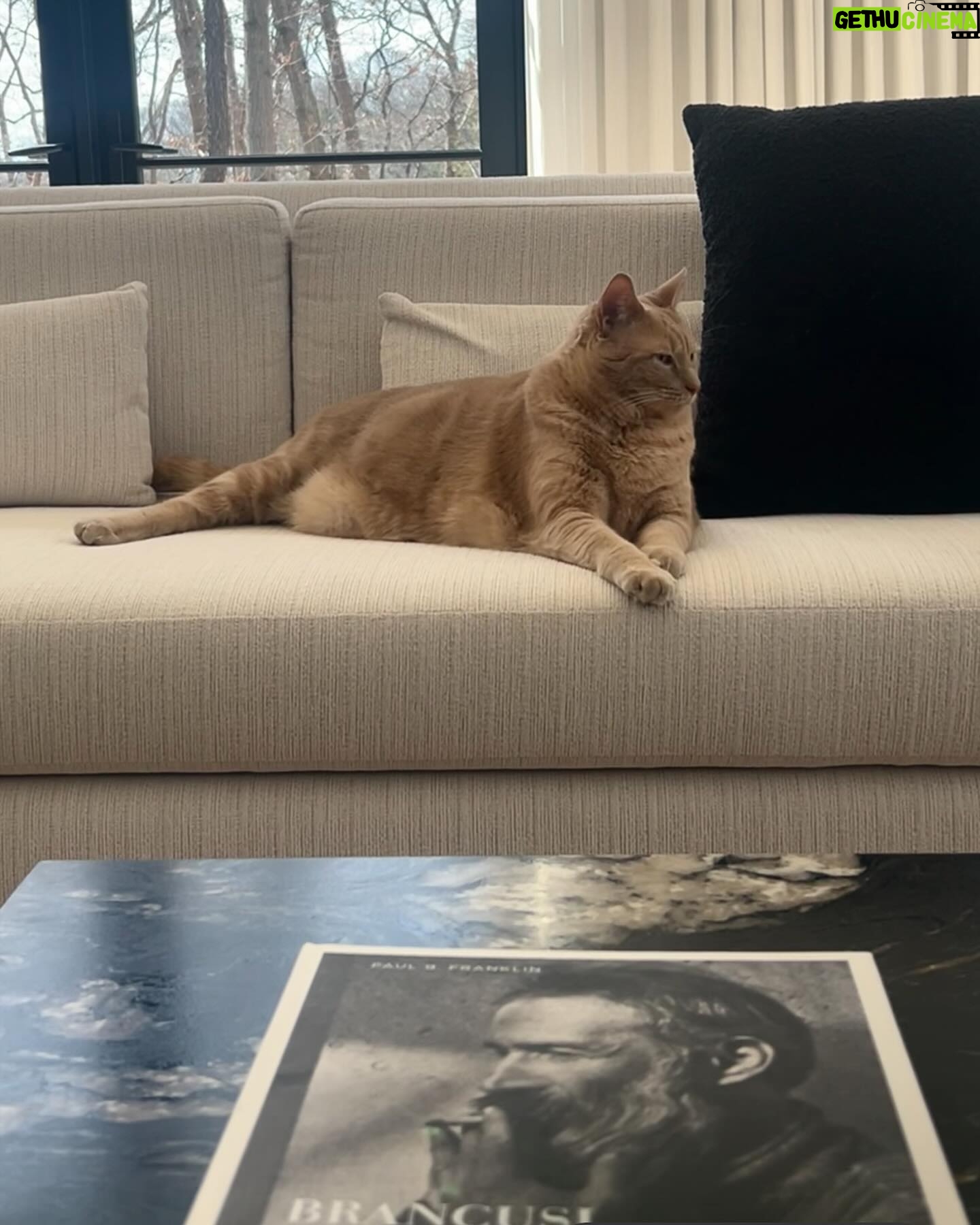 Gina Gershon Instagram - Louie’s Birthday Weekend. Thanks to all of his friends and family who Love and celebrate him. #lordlouie #7