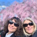 Gina Gershon Instagram - Cherry Blossoms! Its happening!!! You have a few weeks.. Go! It’ll make you feel good. Mother Nature . Nothing like it. 🌸🌸🌸🌸