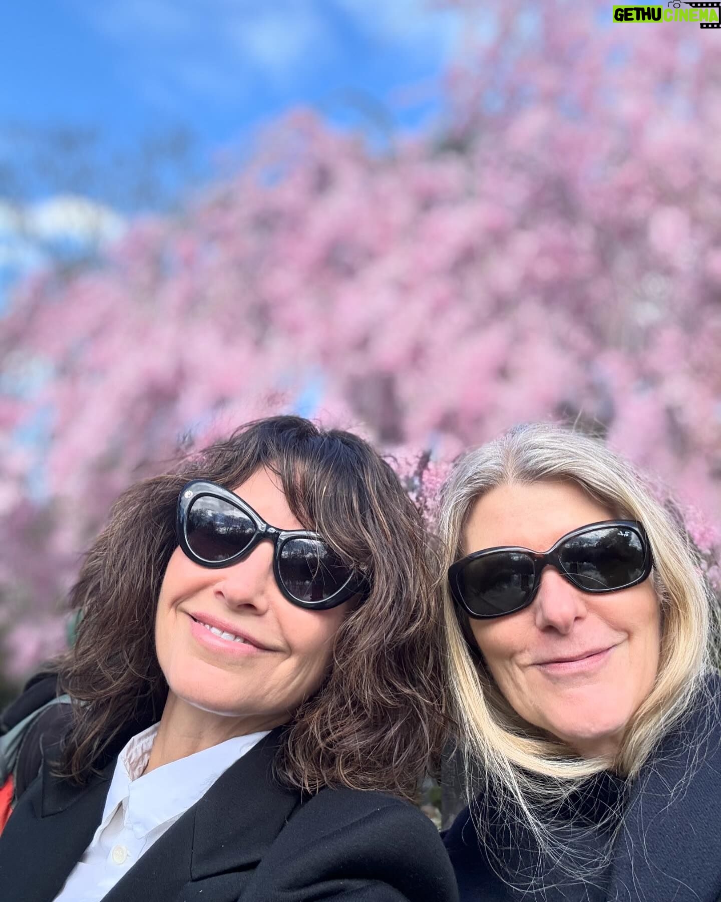 Gina Gershon Instagram - Cherry Blossoms! Its happening!!! You have a few weeks.. Go! It’ll make you feel good. Mother Nature . Nothing like it. 🌸🌸🌸🌸