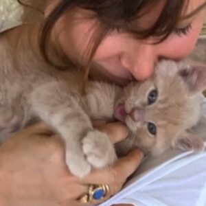 Gina Gershon Instagram - I could not Love this furry baby more. It was definitely love at first sight and I can’t believe he is now 7! And still he has his constant companion since he was a baby, Ralphie The Rat . I only have a about a million pictures of this handsome naughty devil….hard to choose which ones to post….Happy Birthday to the One and Only,Lord Louie Azuzu the Magnificient!!!! And thank you to all of his admirers and retinue. ❤️🎂❤️🎂❤️