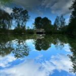 Gina Gershon Instagram - Upside down World #2