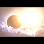 Gina Torres Instagram - Yes. There’s a big geeky part of me. And I’m giddy about today’s total eclipse! (kind of jealous of ya’ll in the “path of totality”) In honor of the late great #CarlSagan who told us we are all made of “StarStuff” I look up today and remember it’s important to feel small in as well as a big part of the #Cosmos. Big thanks to @neildegrassetyson for the cool shades and being such a cool dude in general! 💫🪐💥