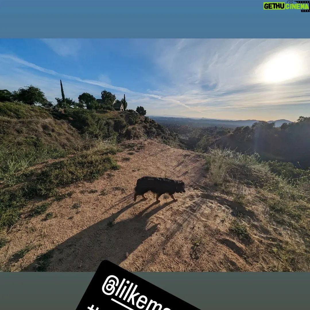 Gina Yashere Instagram - Being a London born city girl, I never gave a damn about nature, but as I get older and realize I've only got maybe 20 good summers left, if I'm lucky. (Thanx @deoncole 😜), I'm spending more time appreciating the simple things...and seeing things thru the eyes of these dogs, how excited they are about their short lives...I've realized I've become a FULL WHITE LESBIAN 🤣 A bitch is VOLUNTARILY HIKING 🤣