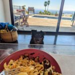Gina Yashere Instagram - New photo art. Gonna call this one: 'Can't eat my lunch in peace' or 'For God's sake don't make eye contact with the dog' HAPPY MONDAY