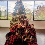 Gina Yashere Instagram - The dogs look like they hate us 😂 Merry Xmas from the Fischer-Yashere gang!!! 🍾🥂⭐✨✴️🍾🥂 This embarrassing post will self- destruct in 5-4-3-2........