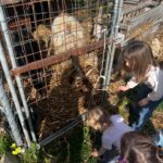 Giulia Elettra Gorietti Instagram – Pasquetta in fattoria 🫏 🐷 🍲 
.
.
.
.
.
.
#pasquetta #fattoria #farm #girls #easter #italianeaster #animals #silver #jacket #friends