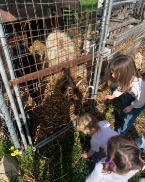 Giulia Elettra Gorietti Instagram - Pasquetta in fattoria 🫏 🐷 🍲 
.
.
.
.
.
.
#pasquetta #fattoria #farm #girls #easter #italianeaster #animals #silver #jacket #friends
