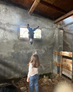Giulia Elettra Gorietti Instagram - Pasquetta in fattoria 🫏 🐷 🍲 . . . . . . #pasquetta #fattoria #farm #girls #easter #italianeaster #animals #silver #jacket #friends