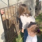 Giulia Elettra Gorietti Instagram – Pasquetta in fattoria 🫏 🐷 🍲 
.
.
.
.
.
.
#pasquetta #fattoria #farm #girls #easter #italianeaster #animals #silver #jacket #friends