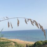 Giusy Buscemi Instagram - Ultimo giorno con la sabbia tra le dita… 💙 #maremio #sicilia