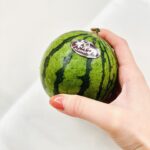 Gladys Tsai Instagram - 超可愛一手就能掌握的小西瓜🍉 老闆跟我說這西瓜可以連皮吃？！ 我買回家立馬啃一口 「喀擦」一個碎裂的聲音！ 還好是整顆小西瓜裂開 不是我的牙哈哈 皮是挺薄但根本不能吃好嗎～～ 果肉味道就是比較不甜的西瓜 只是我買小玉西瓜一顆不到一百塊 這顆迷你西瓜一斤就要280！！ 真是物以稀為貴啊🤣 #love #life #cute #food #fruit #watermelon #yummy #mini #生活 #日常 #可愛 #迷你 #西瓜 #美食