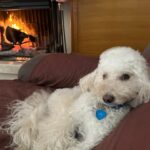 Glenda Resta Instagram – Accozzaglia di foto che volevo postare…i giovani lo chiamano #fotodump ! Vi piacciono di più queste foto così o quelle più “posate” tipo coltello, forchetta, cucchiaio 🥄🍴 ecc…?