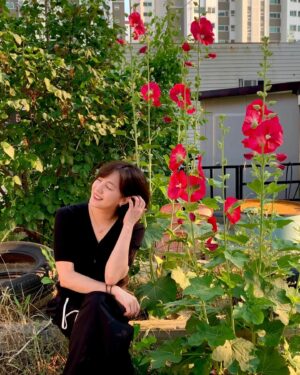 Go Eun-ah Instagram - 내 탄생화가 무궁화 
이건 접시꽃인거에요..?...
접시꽃도 무궁화과라던데 헿
뭐... 그냥 다이뽀이뽀🌺 ㅋㅋㅋㅋ
