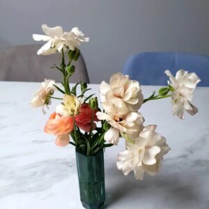 Go Eun-ah Instagram - 좋아하는 나의 꽃들 🌿⚘🌷🌼🌻🌺🌹🏵🌸💜