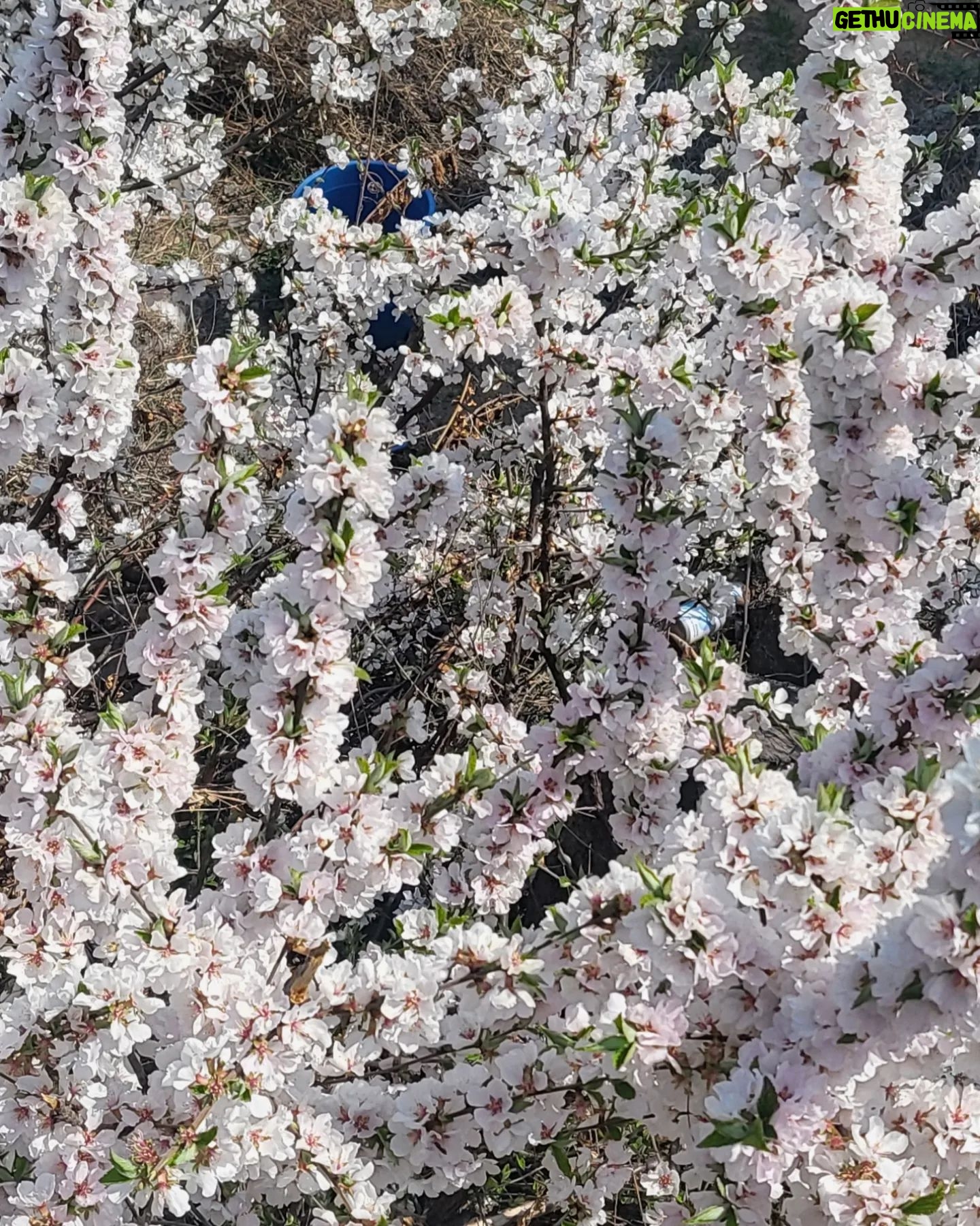 Go Bo-gyeol - 73.4K Likes - April 💐 🌸요즘 날씨가 너무 좋네요..🌷좋은 주말 되세요🦄