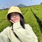 Go Bo-gyeol Instagram - 🐦❓ . . . 보이지 않아도 있는 새
