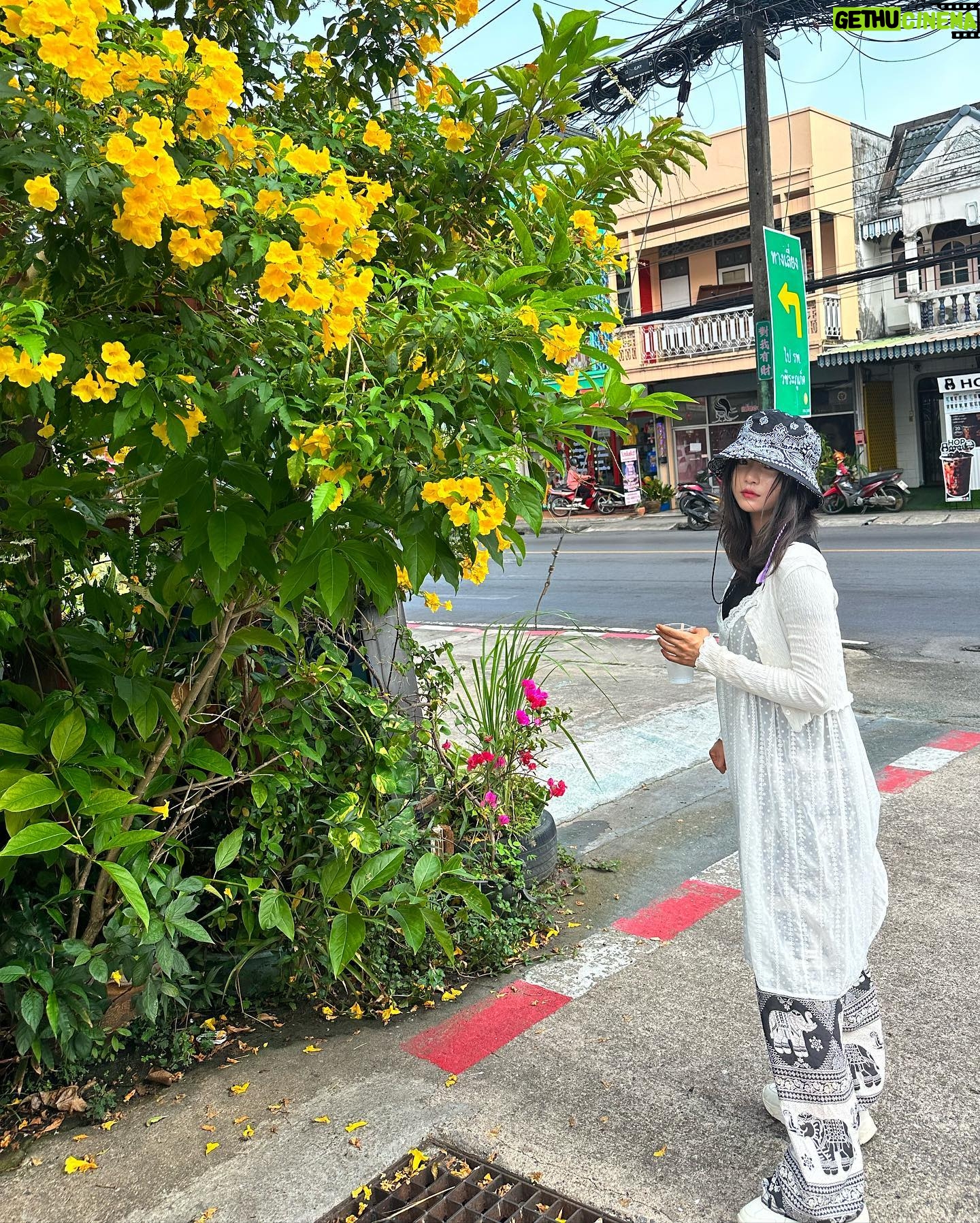 Go Bo-gyeol - 43.7K Likes - 🌴🍨👼🏻