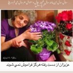 Golab Adine Instagram -