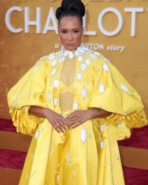 Golda Rosheuvel Instagram - Queen Charlotte LA Premier! 

Congratulations to everyone who worked to make This happen. @netflixuk @netflix what a wonderful night. 

The team came to slay!

Styled by : @jasonrembert 
Hair: @dionnesmithhair 
Makeup: @adamburrell 

Wearing: @stephanerolland_paris ❤️

#goldarosheuvel #queencharlotte #premiere #la