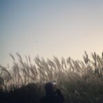 Gong Min-jeung Instagram – 겨울이 올때까지 이곳 저곳 🍁