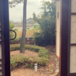 Gong Min-jeung Instagram - 겨울이 올때까지 이곳 저곳 🍁