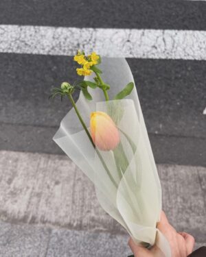 Gong Min-jeung Instagram - Gorgeous!! - 안도현 작가