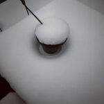 Gong Min-jeung Instagram - 어제는 겨울왕국❄️