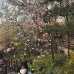 Gong Min-jeung Instagram – 금방 또 여름이 오겠지요