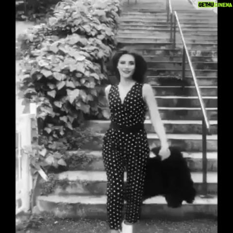 Gözde Mukavelat - 0.9K Likes - " Ürkütmesin seni bu gecenin karanlığı ...
Yıkılmasın hayallerin, bunlarda geçecek... "
Müzik en büyük aşk 💙🎵🎶 🔊