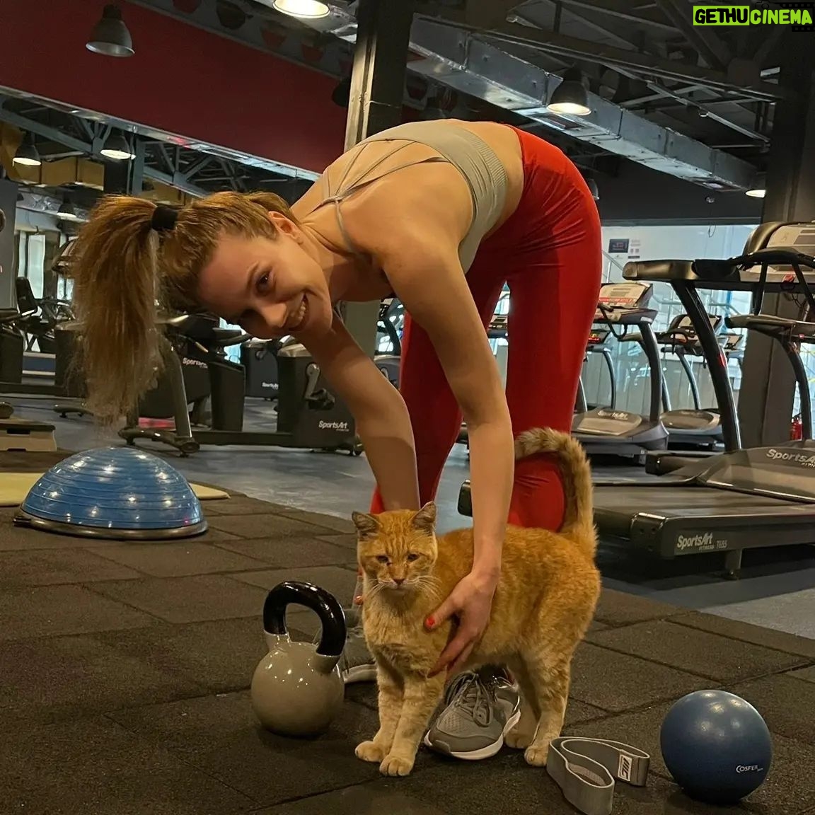 Gözde Mukavelat - 3 Likes - Güzelliğimi spora borçluyum miyavvvv 😹😻 #sport #sportslover #catslover