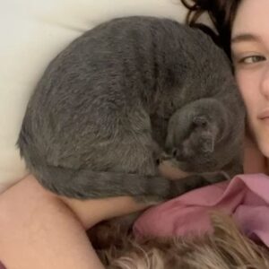 Grace Victoria Cox Instagram - *UPDATE: I ADOPTED THEM LOL*, Alice and Greta, are adoptable!!! These girls are the BEST cats on earth; no really- they are perfect❤️ To say I am obsessed with them would be a total understatement 🥹💕⭐️ Alice and Greta are the sweetest and most angelic kitties. More than anything, all that these girls want is to curl up in your lap and give you lots of hugs and kisses (yes, kisses!! They’ve learned a lot from my dog!!). We rescued Alice, Greta, and their brother from a city shelter 4 months ago when they were 10 days old— they were scheduled to be euthanized that same day!! 💔 (a lil side note: shelters do NOT want to euthanize animals, which is exactly why they ask rescues for help!!) As soon as I saw these kitties I knew that we had to save them (I want to save EVERYTHING lol- a mindset that I def absorbed from my rescue mentor @eerieofthecats !!) We found out during intake that these 3 were COVERED in ringworm (@wwhulk2 saw it immediately but ofc I didn’t want to believe him 🥲) The boy kitten didn’t end up making it. He was just too sick. He passed away a week later, but he knew LOTS of love in that time❤️ I knew that I would do anything I could to make sure that Alice and Greta pulled through…. And they did!!! 4 months later, Alice and Greta are HEALTHY, happy, AMAZING kittens that are SO ready for a forever home ❤️ They are the world’s MOST loving cats. Their adopter will be so unbelievably lucky to have them 🥳💕😻 The reason why I’m sharing this whole big thing is just to say… Alice and Greta’s story isn’t unique. Everything that these girls faced is super standard for orphaned kittens; ending up on the euthanasia list at a shelter, almost dying from being so sick… this is the story of almost every cat you’ll meet at a shelter or rescue! And they all deserve to be saved!! And deserve to find loving, forever homes ❤️❤️❤️ If you’d like to support this type of lifesaving work, the BEST thing that you can do is ALWAYS adopt your animals (never shop!), foster animals, support groups that advocate for animal welfare, and volunteer with your local animal shelters and rescues ❤️💕  and PLEASE let me know if you’d like to adopt Alice and Greta!!!!! 💕💕💕