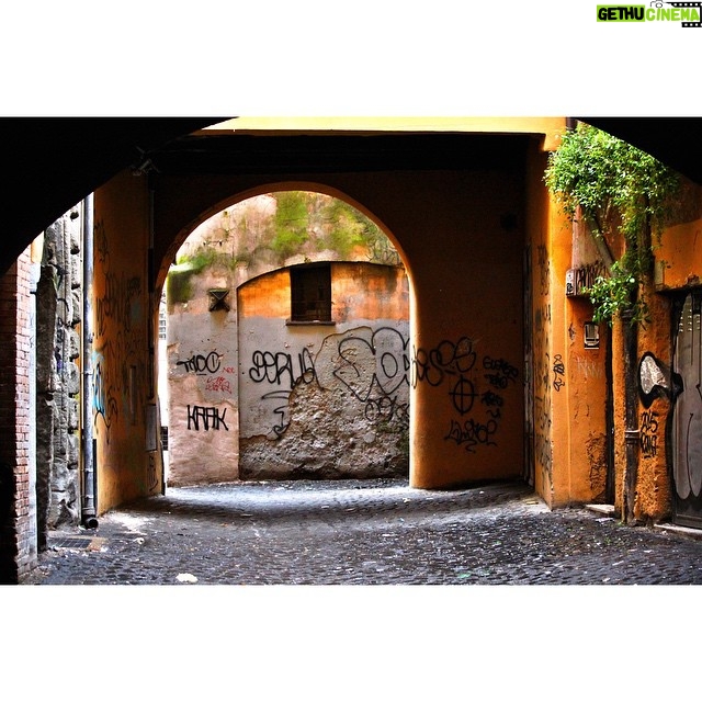 Grace Van Patten Instagram - Arc Alley