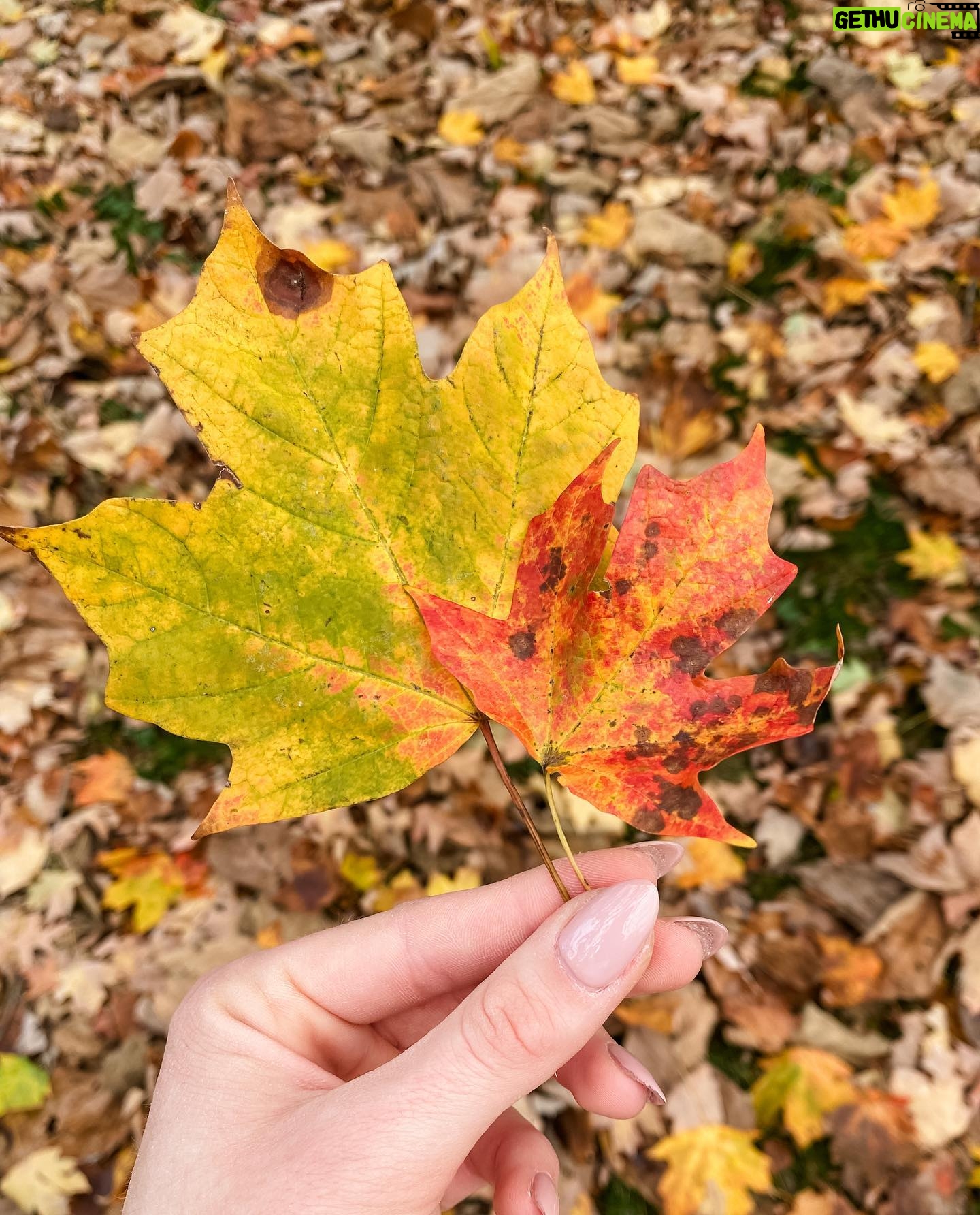 Greer Grammer Instagram - hi it might still be hot outside but it is OFFICIALLY the first day of fall and my heart could not be happier about it ๐ฅฐ๐งก๐