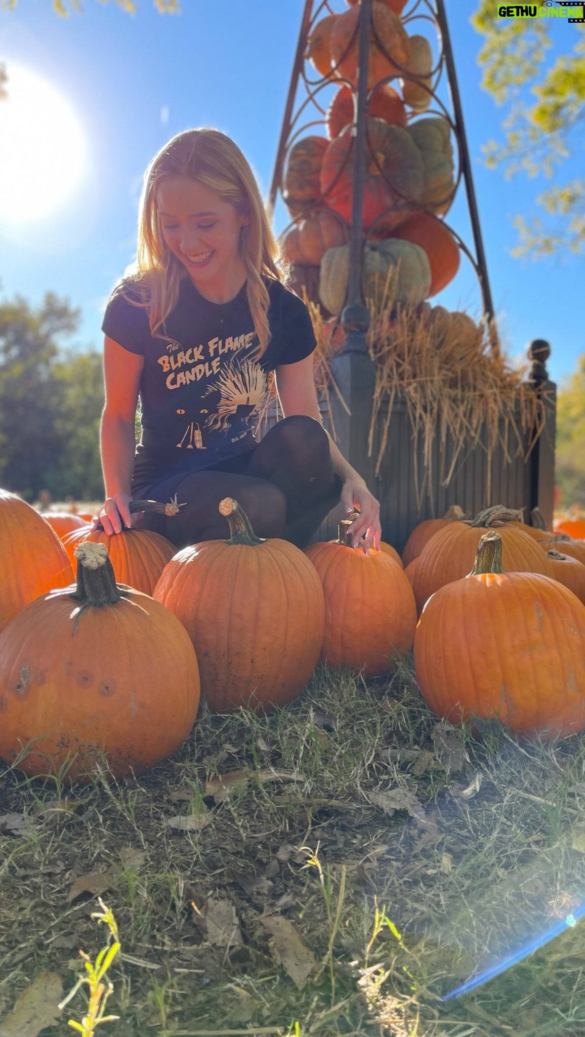 Greer Grammer Instagram - Fall girlies rise up ๐๐ป๐๐งก #shesback #pumpkinspice #psl #finallyfall #starbucks #christiangirlautumn