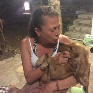 Güneş Hayat Instagram - #4ekimhayvanlarıkorumagünü 
Çakıl’ımmm❤️