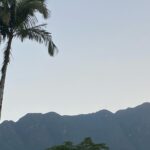 Guta Stresser Instagram - Não está todo mundo da equipe e elenco nos registros da semana que passou de filmagem em Morretes. O longa #otempodadelicadeza tem nos dado, a todos, aquela alegria de fazer aquilo que amamos, no nosso caso ali Cinema, cercados de profissionais da melhor qualidade, em todos os setores, e que, além de também apaixonados pelo que fazem, são gente boa demais da conta!!! Ô sorte!!!! Obrigada mais uma vez @stavisrosana por ter me indicado, @edununes por ter “comprado” a ideia, Bela, Nanda, Ana, Mauro, Lu, toda a “turma” do Edu me acolheu de forma que já me sinto parte dessa “trupe” maravilhosa de vocês ❤️🎥 No carrossel 🎠 tem um pouquinho do tanto que a gente tem vivido, visto e sentido, em um filme que já está sendo um dos melhores da minha vida! 🎥🌴🌷 #Otempodadelicadeza #PioliFilmes @3tabelafilmes Still: @dannipersonn Direção: Eduardo Nunes Roteiro: Eduardo Nunes e @izabellafaya . . . #gutastresser #morretes #2024 #filmagens #otempodadelicadeza