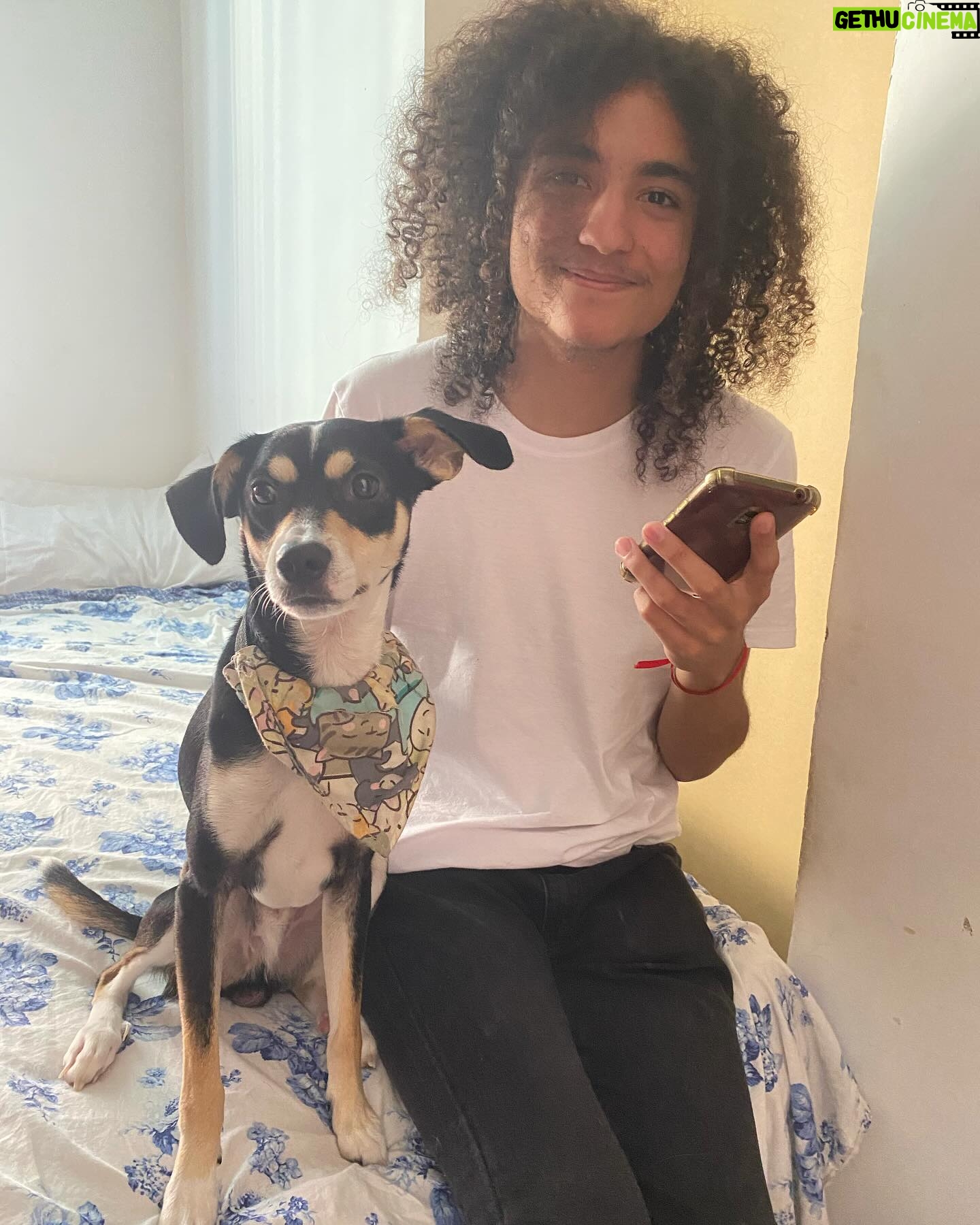 Guta Stresser Instagram - O meu afilhado, sobrinho e amigo Ronald Lopes Stresser, com o amigo Chopp II, o CĂŁozinho đ¶ do outro sobrinho, o Theo. Sou uma tia orgulhosa!! Amo meus sobrinhos!! Amo nossos pets tambĂ©m!!! Sdds do CarlĂŁo, da Pink e do Floyd!! Beijos da tia, rapazes!!! . . . . #ronaldslopesstresser #chopp #amigos #sobrinho #afilhado #famĂlia #tiaguta #gutastresser #curitiba