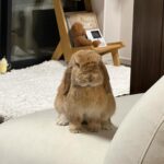 Ha Yeon-soo Instagram - 私は今週も元気に過ごしております！ もう土曜日😱時間が早く過ぎていきますね。 皆さん、良い週末を💕